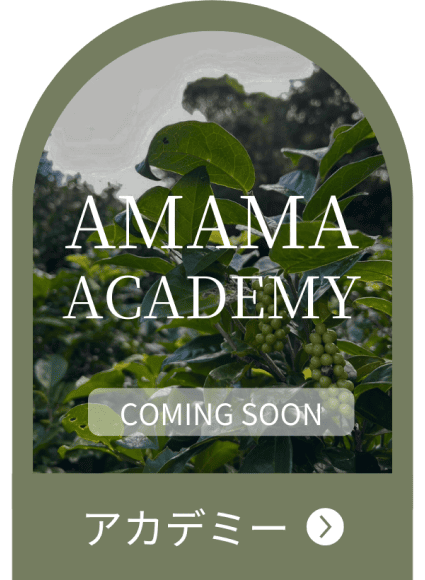 AMAMAokinawaのサービス ACADEMY